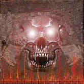 skull