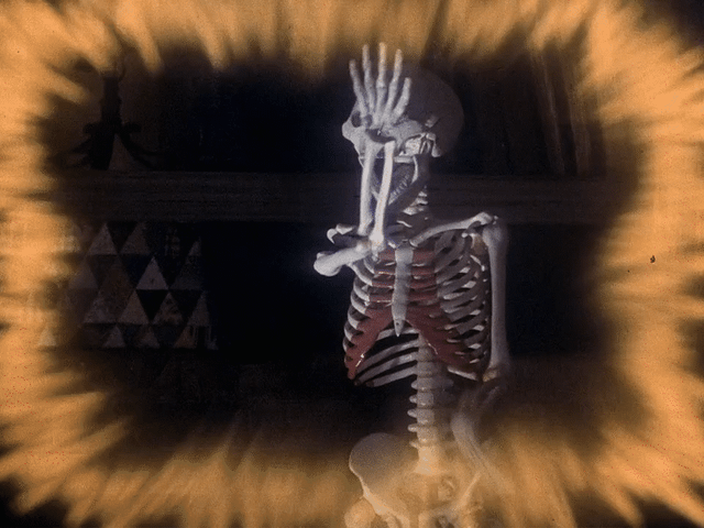 House (1977)