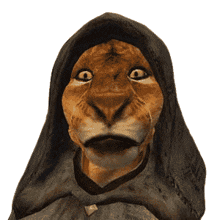 The Elder Scrolls IV: Oblivion