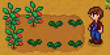Stardew Valley